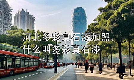 河北多彩真石漆加盟，什么叫多彩真石漆