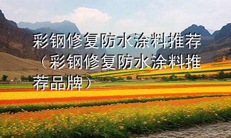 彩鋼修復(fù)防水涂料推薦（彩鋼修復(fù)防水涂料推薦品牌）