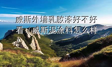 威斯外墻乳膠漆好不好看（威斯泥涂料怎么樣）
