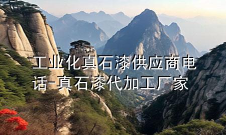 工業(yè)化真石漆供應(yīng)商電話-真石漆代加工廠家