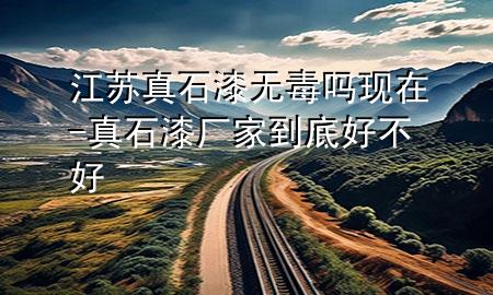 江蘇真石漆無毒嗎現(xiàn)在-真石漆廠家到底好不好