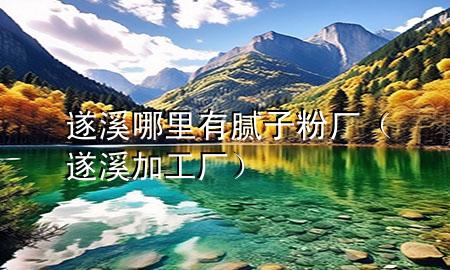 遂溪哪里有膩?zhàn)臃蹚S（遂溪加工廠）
