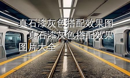 真石漆灰色搭配效果圖，真石漆灰色搭配效果圖片大全