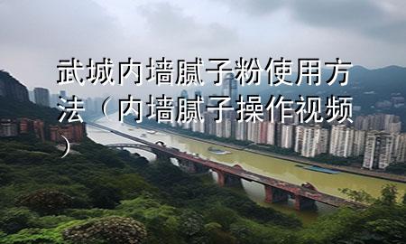 武城內(nèi)墻膩?zhàn)臃凼褂梅椒ǎ▋?nèi)墻膩?zhàn)硬僮饕曨l）