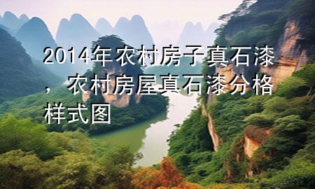 2014年農(nóng)村房子真石漆，農(nóng)村房屋真石漆分格樣式圖