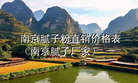 南京膩子粉直銷價格表（南京膩子廠家）