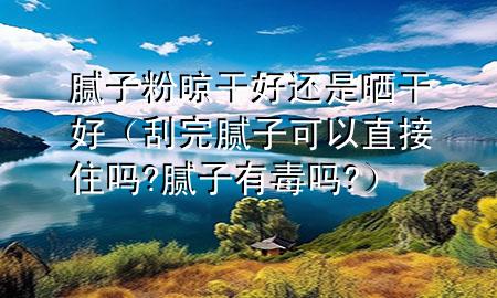 膩?zhàn)臃哿栏珊眠€是曬干好（刮完膩?zhàn)涌梢灾苯幼?膩?zhàn)佑卸締?）