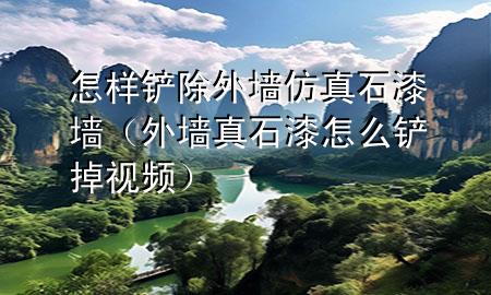 怎樣鏟除外墻仿真石漆墻（外墻真石漆怎么鏟掉視頻）