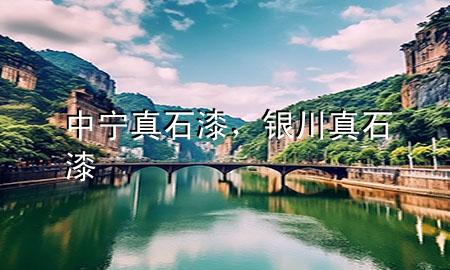 中寧真石漆，銀川真石漆