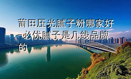 莆田壓光膩子粉哪家好-必優(yōu)膩子是幾線品牌的