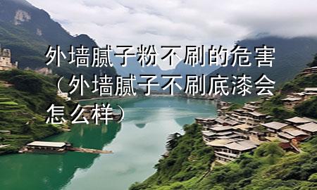 外墻膩?zhàn)臃鄄凰⒌奈：Γㄍ鈮δ佔(zhàn)硬凰⒌灼釙?huì)怎么樣）