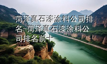 菏澤真石漆涂料公司排名-菏澤真石漆涂料公司排名前十