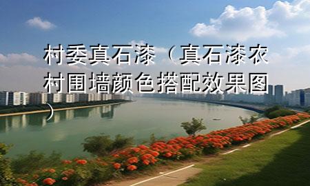 村委真石漆（真石漆農(nóng)村圍墻顏色搭配效果圖）
