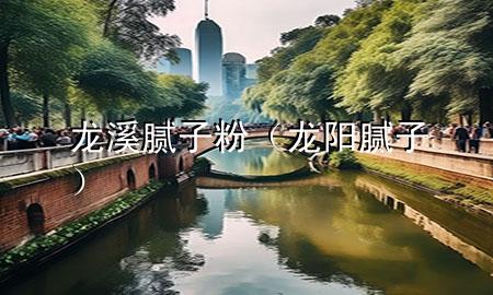 龍溪膩子粉（龍陽膩子）
