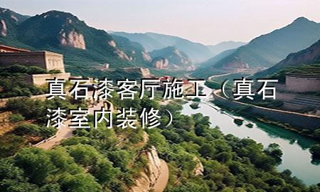 真石漆客廳施工（真石漆室內(nèi)裝修）