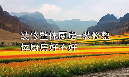 裝修整體廚房-裝修整體廚房好不好