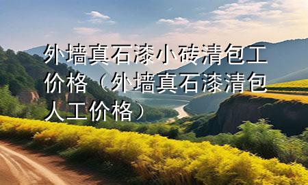 外墻真石漆小磚清包工價格（外墻真石漆清包人工價格）