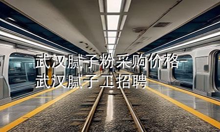 武漢膩子粉采購價格-武漢膩子工招聘