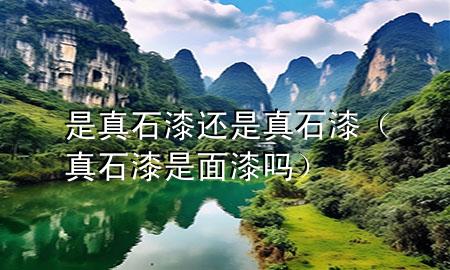 是真石漆還是真石漆（真石漆是面漆嗎）