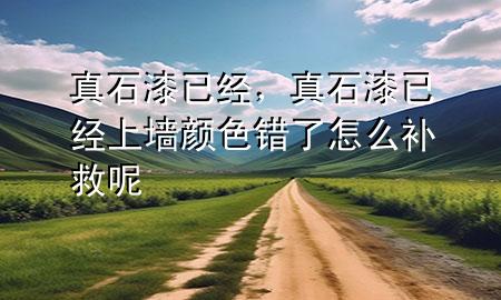 真石漆已經(jīng)，真石漆已經(jīng)上墻顏色錯(cuò)了怎么補(bǔ)救呢