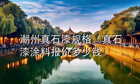 潮州真石漆規(guī)格（真石漆涂料報(bào)價(jià)多少錢）