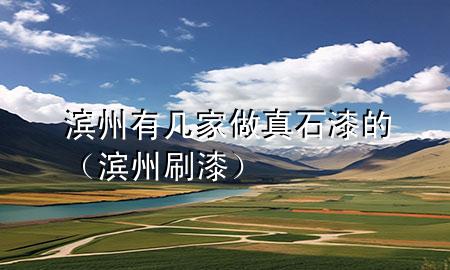 濱州有幾家做真石漆的（濱州刷漆）