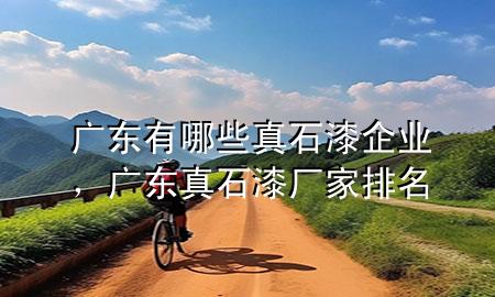 廣東有哪些真石漆企業(yè)，廣東真石漆廠家排名
