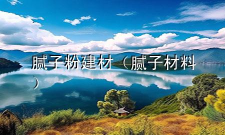 膩子粉建材（膩子 材料）