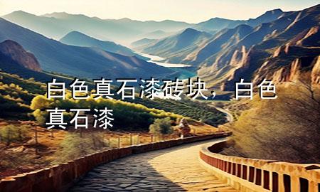 白色真石漆磚塊，白色 真石漆