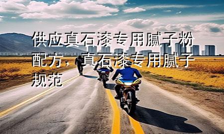 供應(yīng)真石漆專用膩子粉配方，真石漆專用膩子規(guī)范