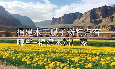 福建木工膩?zhàn)臃厶攸c(diǎn)有哪些-福建木粉廠家