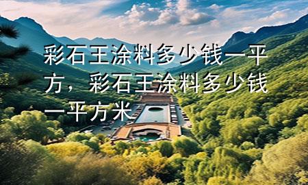 彩石王涂料多少錢一平方，彩石王涂料多少錢一平方米