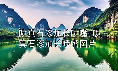 噴真石漆加長(zhǎng)噴嘴-噴真石漆加長(zhǎng)噴嘴圖片