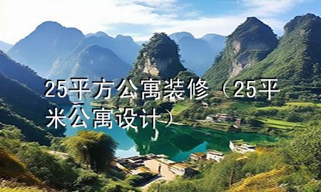 25平方公寓裝修（25平米公寓設計）