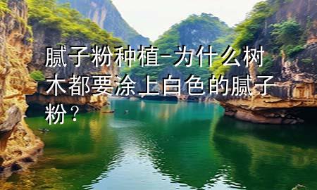 膩子粉種植-為什么樹木都要涂上白色的膩子粉？