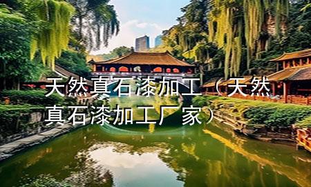 天然真石漆加工（天然真石漆加工廠家）
