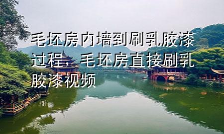 毛坯房?jī)?nèi)墻到刷乳膠漆過(guò)程，毛坯房直接刷乳膠漆視頻