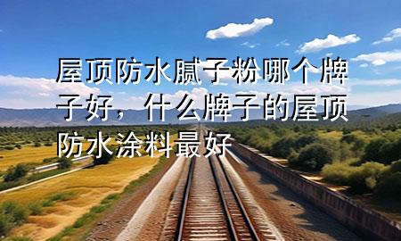 屋頂防水膩?zhàn)臃勰膫€(gè)牌子好，什么牌子的屋頂防水涂料最好
