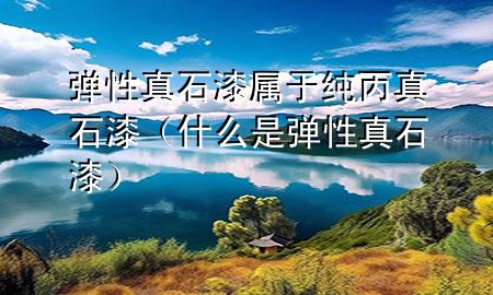 彈性真石漆屬于純丙真石漆（什么是彈性真石漆）