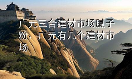 廣元三合建材市場(chǎng)膩?zhàn)臃?，廣元有幾個(gè)建材市場(chǎng)