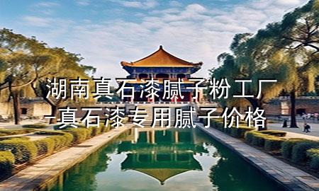 湖南真石漆膩子粉工廠-真石漆專用膩子價格