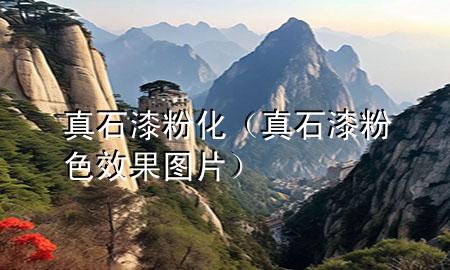 真石漆粉化（真石漆粉色效果圖片）