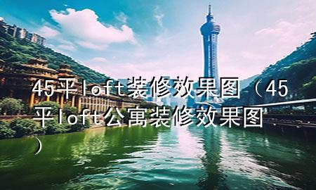 45平loft裝修效果圖（45平loft公寓裝修效果圖）