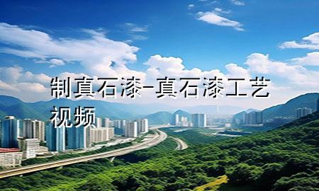 制真石漆-真石漆工藝視頻