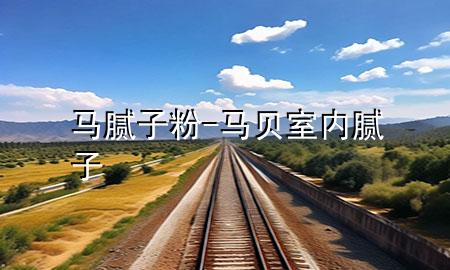 馬膩子粉-馬貝室內(nèi)膩子
