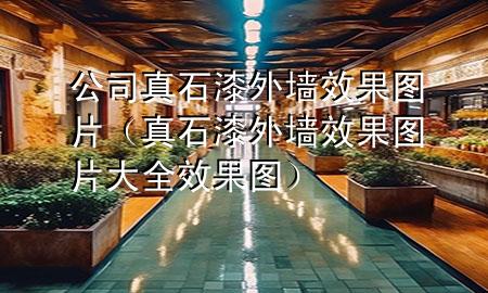 公司真石漆外墻效果圖片（真石漆外墻效果圖片大全 效果圖）