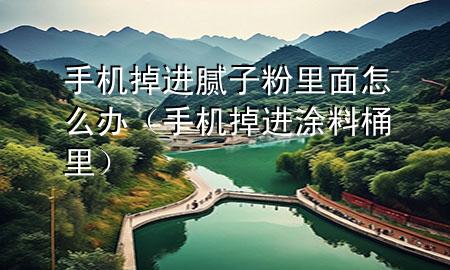 手機(jī)掉進(jìn)膩?zhàn)臃劾锩嬖趺崔k（手機(jī)掉進(jìn)涂料桶里）