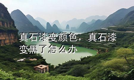 真石漆變顏色，真石漆變黑了怎么辦