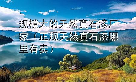 規(guī)模大的天然真石漆廠家（正規(guī)天然真石漆哪里有賣(mài)）