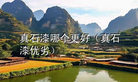 真石漆哪個(gè)更好（真石漆優(yōu)劣）